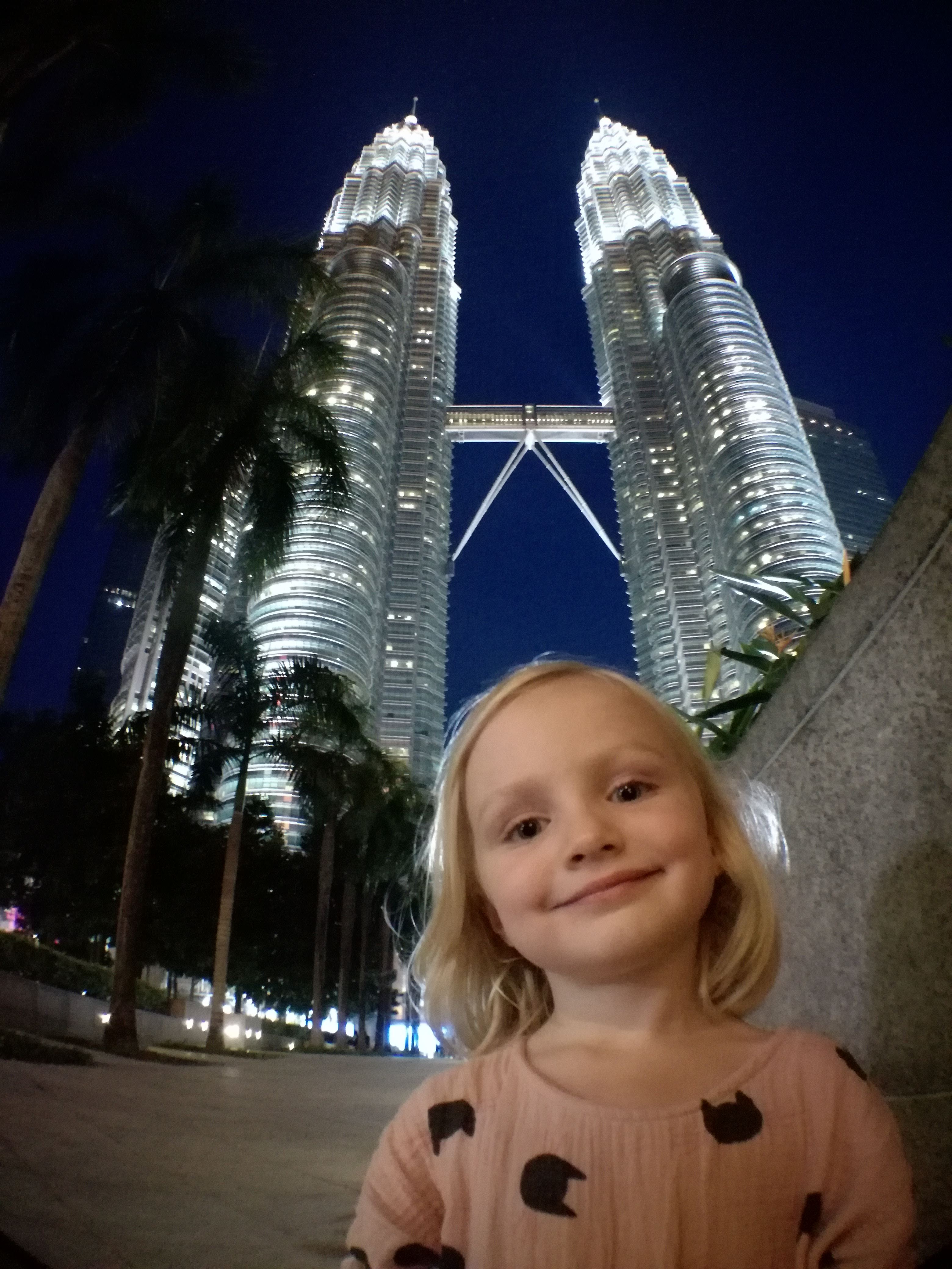 Petronas Towers at Night